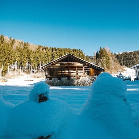 Апартаменты Laerchenwirt Dolomites San Nicolo di Comelico Экстерьер фото