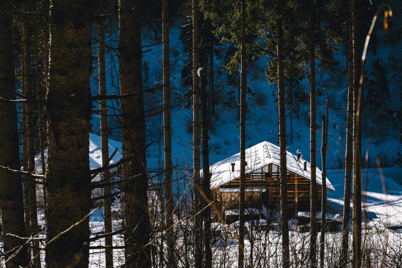 Апартаменты Laerchenwirt Dolomites San Nicolo di Comelico Экстерьер фото
